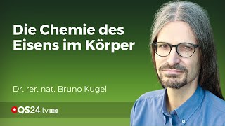 Chemische Komplexität im Körper Dr Bruno Kugel enthüllt die Wahrheit über Eisenmangel  QS24 [upl. by Gavrila]