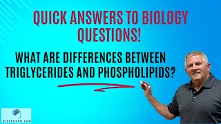 Whats the difference between triglycerides and phospholipids [upl. by Acinahs536]