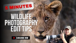 How to turn this Lion Cub Photo into something very cool in Lightroom [upl. by Seligmann]