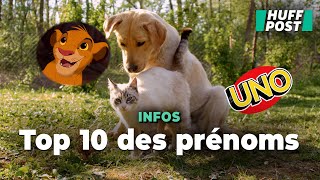 Les noms les plus donnés aux chiens et aux chats en 2023 [upl. by Aysab]