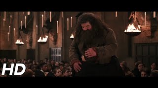 Theres no Hogwarts without you Hagrid  Harry Potter and the Chamber of Secrets [upl. by Nyleve]