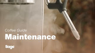 The Barista Express™  How to clean the steam wand in five steps  Sage Appliances UK [upl. by Etheline]