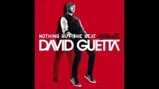 David Guetta  Play Hard feat NeYo amp Akon Audio [upl. by Seena]