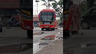 HALMAHERA MASUK TERMINAL AKAP PEKANBARU [upl. by Chivers122]