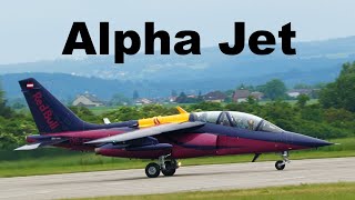 Alpha Jet  Pardubice Airshow 2022  4K [upl. by Hnacogn]