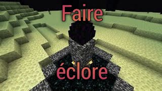 Comment faire éclore loeuf de lender dragonMinecraft [upl. by Vikki817]