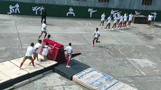 ITBP HORSE BOLTING JUMP PTI DEMO [upl. by Airbma]