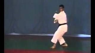 Luca Valdesi Heian Shodan [upl. by Sherrie]