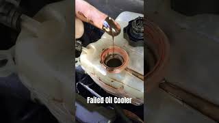 Another Failed Oil Cooler oilcooler oilincoolant carmemes [upl. by Jd]