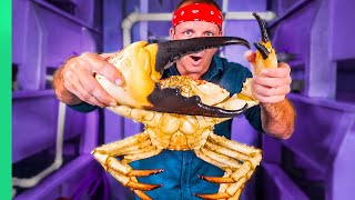 Japanese Chef Prepares GIANT Tasmanian CRAB Over 700 [upl. by Abehsat]