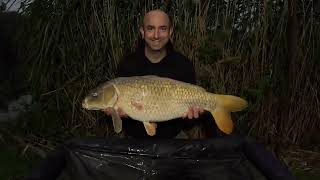 Late summer on Vermuyden Lake  7 Fish haul and a new lake PB [upl. by Rofotsirk]