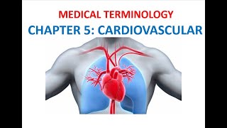 Language of Medicine Medical Terminology Chapter 11 Flashcards  Cardiovascular System [upl. by Schonfeld]