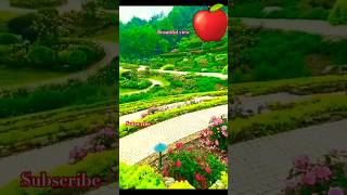 Heart touching voice Quran recitation ytstudio allahuakbar quran tilawat ytshorts سبحانالله [upl. by Apple]