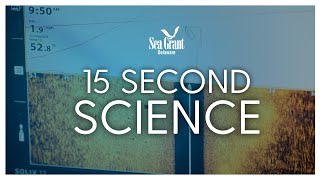 15 Second Science  How does sonar actually work [upl. by Imled905]