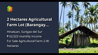 2 Hectares Agricultural Farm Lot Barangay Loyola Hinatuan Surigao del Sur [upl. by Onitselec]