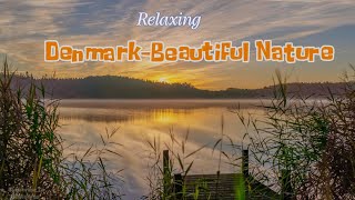 DenmarkBeautiful Nature [upl. by Maryanna]