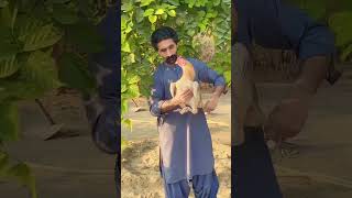 Wal yad asan Cheena saraiki song shortsvideo pakistanisongs [upl. by Airehs]