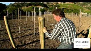 One Acre Napa Valley  Yountville AVA  Episode 3 End post anchors [upl. by Calv]