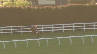 15 October Gallops Gallop 5 [upl. by Kaden]