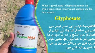 Glyphosate Herbicide  Weed Killer  When and How Much Dosage Use in Triple Gene Cotton  Urdu [upl. by Fidelis]