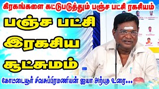 கிரகங்களை கட்டுப்படுத்தும் பஞ்ச பட்சி A TO Z ரகசியம்  ரகசியம் உடைக்கும் ஜோதிடர்  ONLINE ASTRO TV [upl. by Ennayehc]