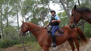 Explications des règles de chasse par un gendarme à cheval de la garde républicaine [upl. by Rafi]