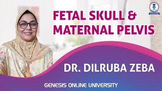 Fetal Skull amp Maternal Pelvis  Gynae amp Obs  Dr Dilruba Zeba [upl. by Barthol809]