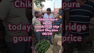 chikkaballapura market today price [upl. by Feeney]