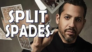 Deck Review Silver Split Spades by David Blaine [upl. by Perrie]