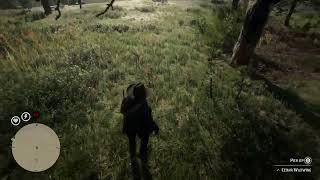 rdr2  Little Bird Locations Hunting Requests  Perfect Cedar Waxwing [upl. by Snilloc]