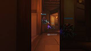 Is Reinhardt actually insane [upl. by Nosned]