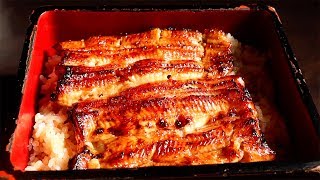 Japanese Food  GRILLED EEL Seafood Barbecue EEL Bowl Tokyo Japan part2 [upl. by Thebazile]