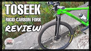 TOSEEK Carbon Fork Review Great Value Fork with a couple of issues [upl. by Nan919]