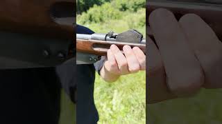 Mannlicher M1888 Old Straight Pull Rifle shorts asmr gun foryou history hunting gaming [upl. by Omer]