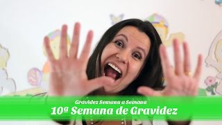 10ª Semana de gravidez [upl. by Yrannav668]