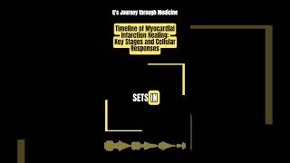 Almost Daily Medical Tutorial Key Stages and Cellular Responses Post MI [upl. by Muirhead]