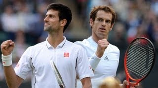 Novak Djokovic talks to the media ahead of Wimbledon 2013 final [upl. by Mariand245]