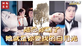 MULTI SUB 💕✨她在他最无助的时候伸出了手，在他生命危急的时候给了他眼角膜自己却成了盲人，可他恢复视力后却百般虐她！陆总，她就是你要找的白月光啊！短剧 drama [upl. by Annalise]