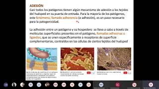 Mecanismos de Patogenicidad  Microbiología [upl. by Ocirne]