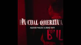 quotPA CUALQUIERITAquot DeadBoy x AlesseWaltz PREVIEW [upl. by Miehar761]