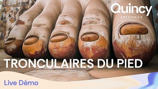 Live Démonstration  Tronculaires du pied [upl. by Nicks]