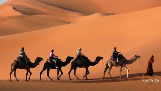 Arabian Music  Ambient Arabian Desert Music  Oriental musical instruments  MD Music [upl. by Rolandson248]