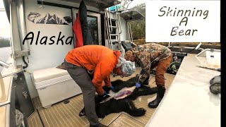 Bear Skinning on a boat in Prince William Sound Alaska [upl. by Enortna]