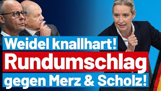 Merz stinksauer Alice Weidel rechnet knallhart mit der CDU ab  AfDFraktion im Bundestag [upl. by Trstram]