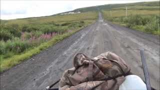 Salmonberry Hunting In Alaska Along The Yukon River [upl. by Stoller]