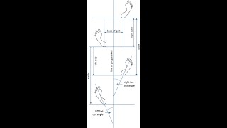 quot GAIT PATTERN ANALYSIS IN PERSPECTIVE OF FORENSIC SCIENCE INVESTIGATION quot [upl. by Eelak]