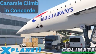 XPlane 11  Colimata Concorde V2  Canarsie Climb [upl. by Meares897]