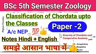 classification of phylum chordata bsc 5th semesterclassification of phylum chordatachordata phylum [upl. by Kata765]