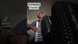 la Cesarina musica fisarmonica cristian accordion liscio [upl. by Dopp]