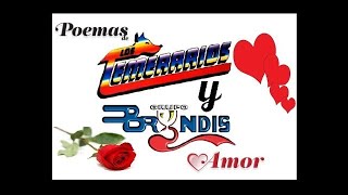 Los Temerarios y Bryndis Poemas de Amor Romanticas [upl. by Laryssa]